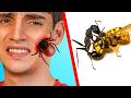 Atrapé Los 10 Insectos Más Gigantes Y Peligrosos Del Mundo