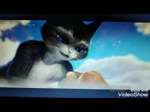 Black Cat, Kitty, The Wu Sisters - Bad Romance/Lady Gaga