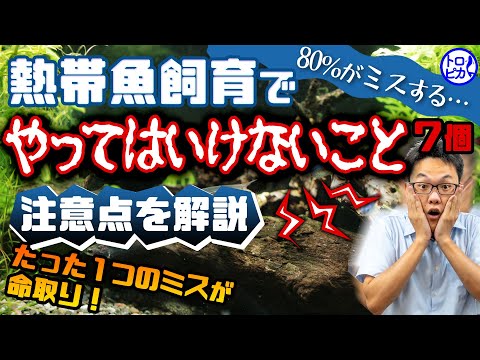 ヒポシデロスについて詳しく解説