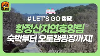[#Let's Go 자연휴양림] 숙박동부터 오토캠핑장까지! 국립황정산자연휴양림 파헤치기