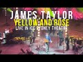 James Taylor - Yellow and Rose