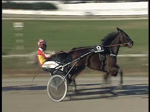 Trotto 11/11/2018 - 1ª corsa