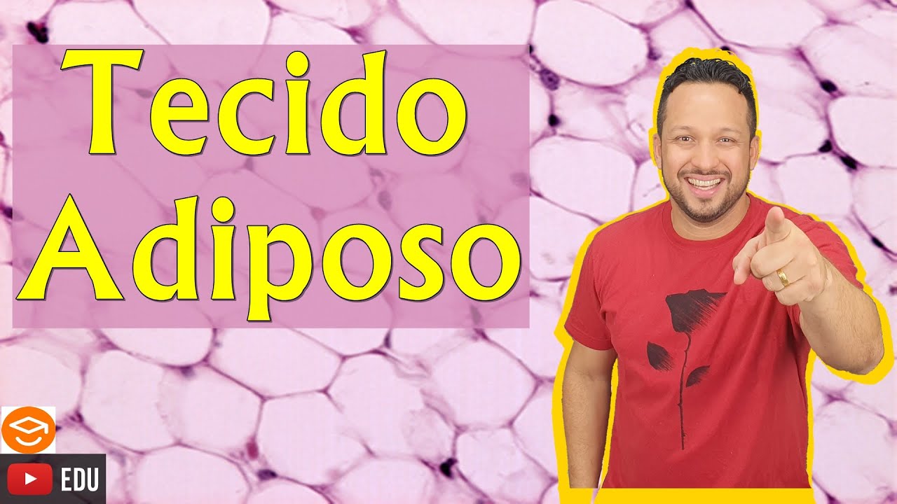 Tecido Adiposo - Características e Funções - Tecido Conjuntivo Especial - Histologia Animal
