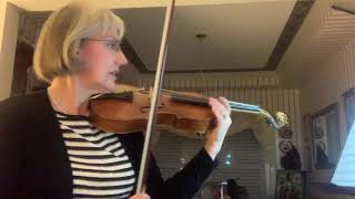 Swashbucklers Saga viola