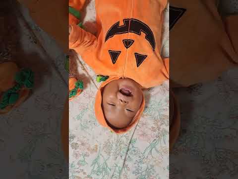 庭の池の保護 – 子供にとってより安全な池を作る方法  庭園