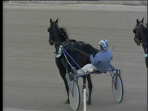 Trotto 08/11/2019 - 4ª corsa