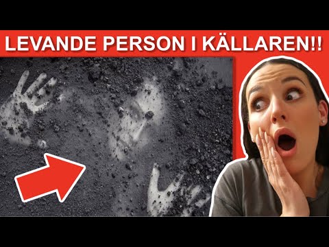 10 LÄSKIGA saker som hittats i KÄLLARE!!!! (En levande person)