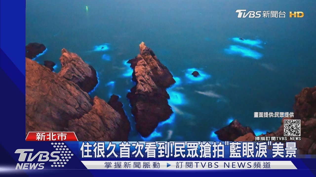 難得一見!中角灣「藍眼淚」現蹤 遊客驚喜