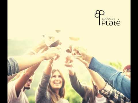 www.bodegasplate.com