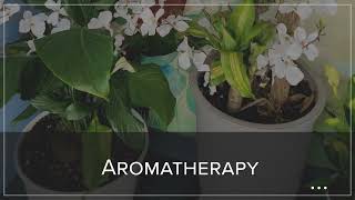 J.J Thai Spa LLC