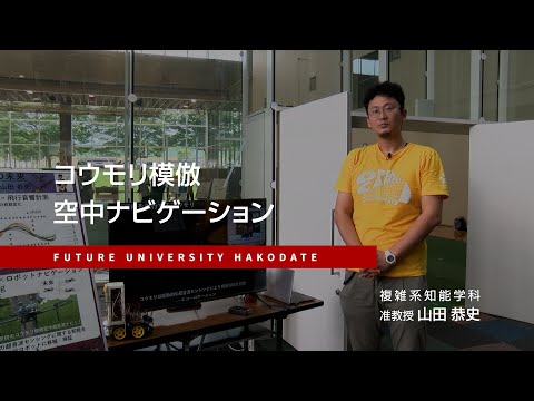 コウモリ模倣 空中ナビゲーション