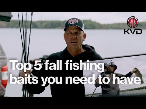 Best Fall Baits for Bass Fishing | Top 5 Lures That Actually Work with Kevin VanDam