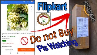 unboxing plant from flipkart| amazon|Grapes plant|review|Bengali|online|