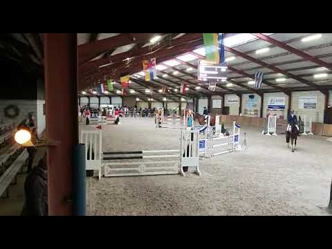 Sold 🇮🇹 Maas-gold 5yrs vigo x andiamo