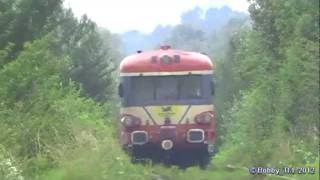 preview picture of video 'Automotoare Viaterra pe liniile Ciumegiu - Holod - Vascau'