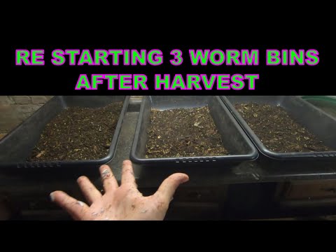 EUROPEAN NIGHT CRAWLERS 3 BIN RESET