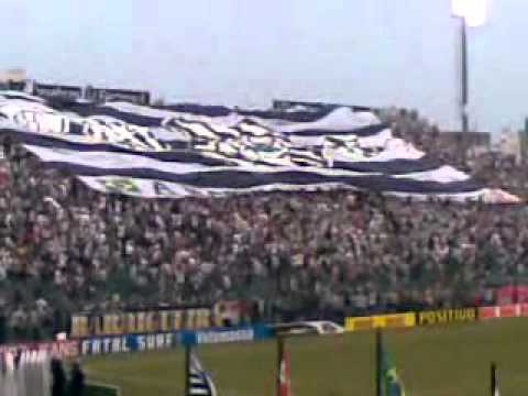 Figueirense x Coritiba - Bandeirão
