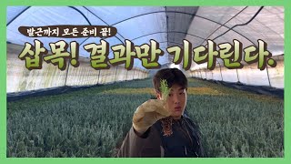 2022년 삽목! 발근까지 준비 끝! 결과만 가다린다.