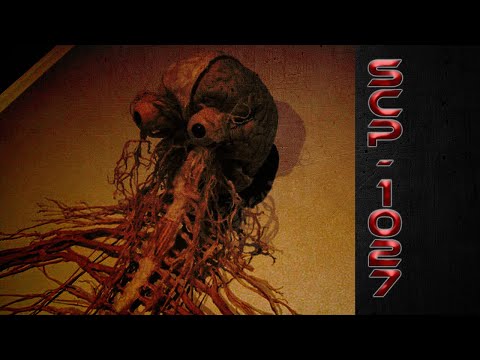 [Mission 4] : SCP-1027 : SNC Carnivore