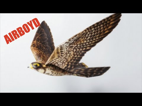 Robotic Peregrine Falcon (Robird) - Farnborough Airshow