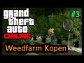 Wiet plantage kopen  - Gta 5 Online #3 XXL