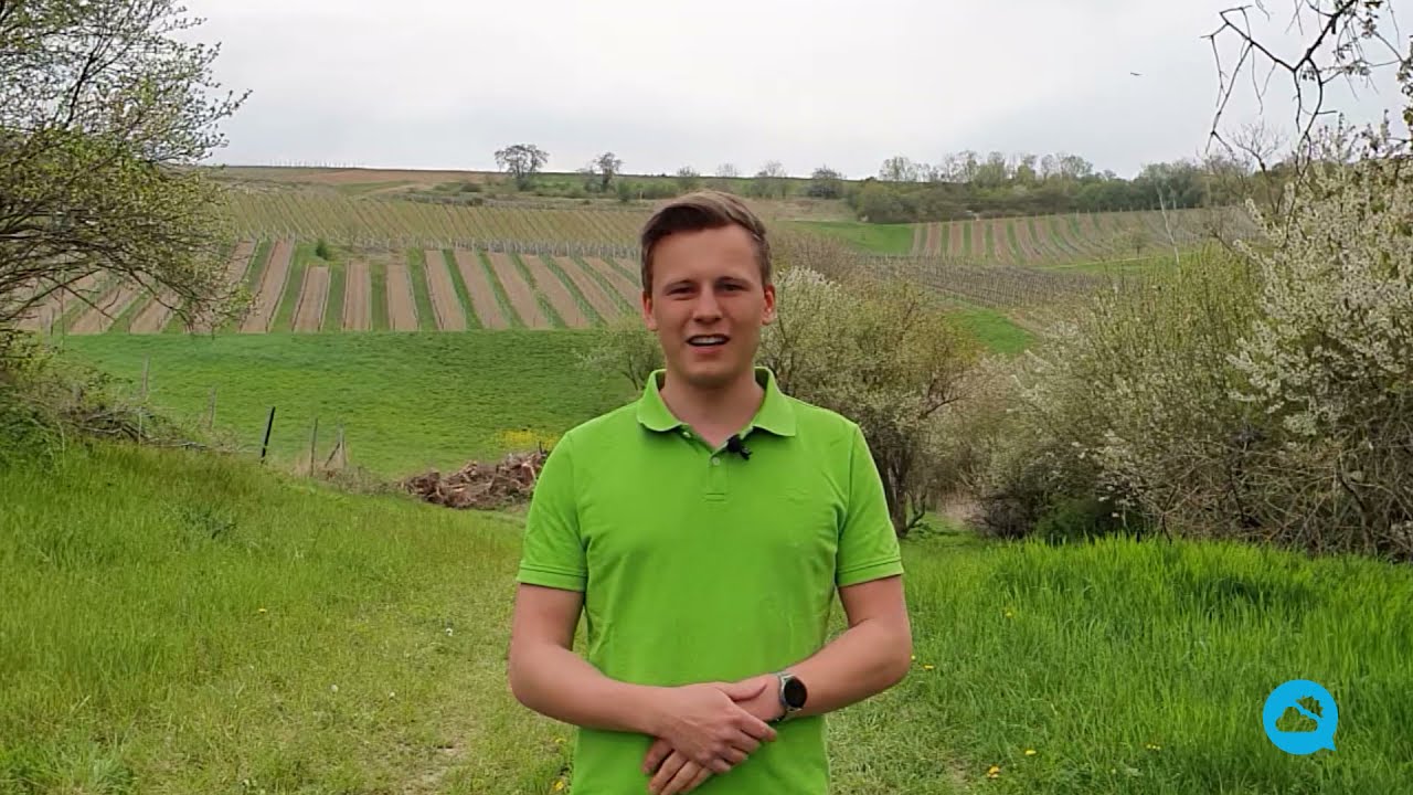 youtube video id=B2mmwUoPluo