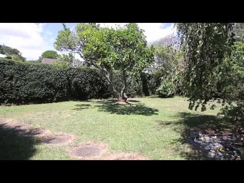 SOLD - 257 St Andrews Road, Epsom - Sandy Fenton