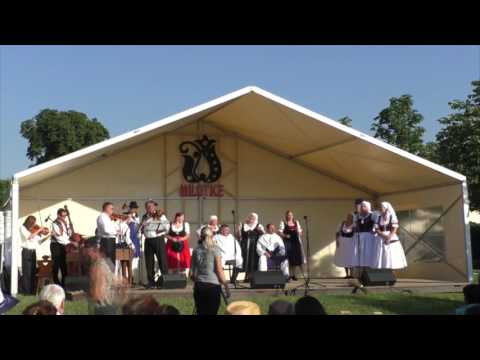 Festival Milotice 2016
