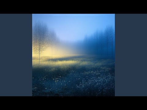 A Portrait in Time Story