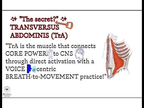 Play Video Youtube Video