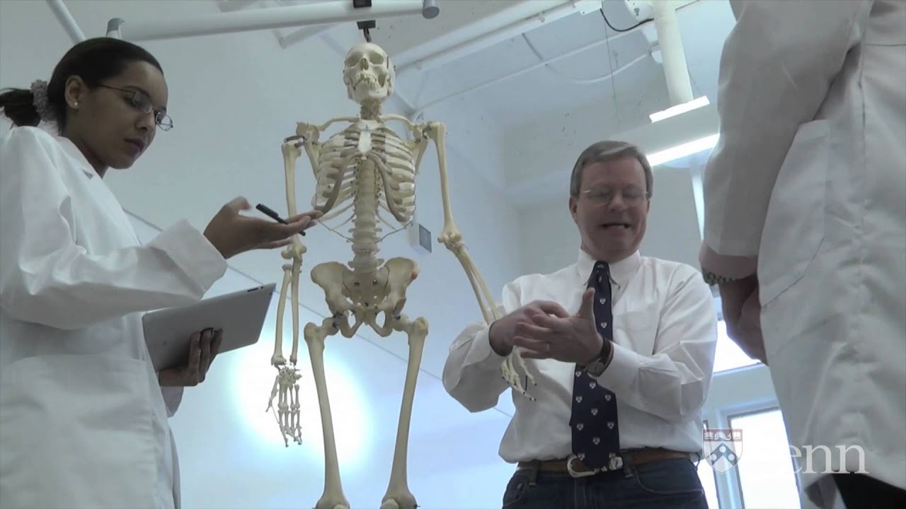 Going Out on a Limb: Anatomy of the Upper Limb | PennX on edX | Course About Video