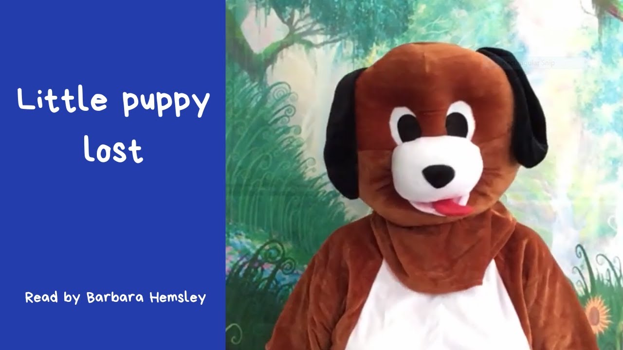 Little puppy lost by Holly Webb