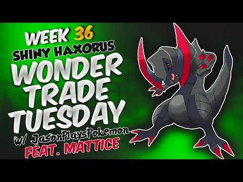 Wonder Trade Tuesday #36: SHINY HAXORUS! (Pokemon Omega Ruby & Alpha Sapphire)