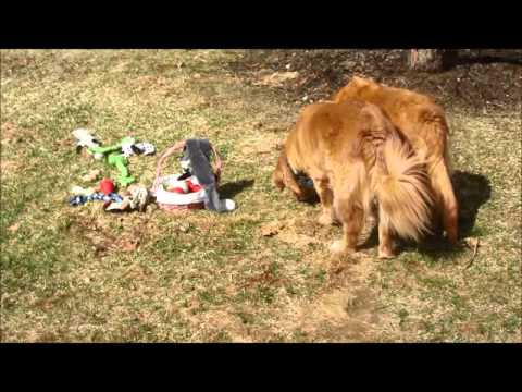 Social Justice Theology Video