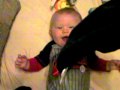 Hahaha Silly Baby Laughing