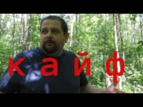 download lagu mp3 mp4 легальный кайф, download lagu легальный кайф gratis, unduh video klip Download легальный кайф Mp3 dan Mp4 Full Gratis