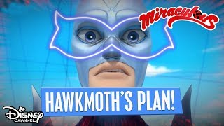 Hawk Moth's Master Plan! | Miraculous Ladybug | Disney Channel Africa