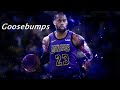 LeBron James Mix Goosebumps HVME