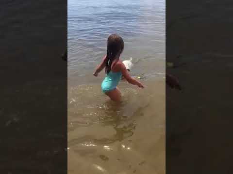 Molly and Sunny the 3 legged dog