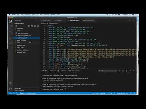 Using AssemblyScript