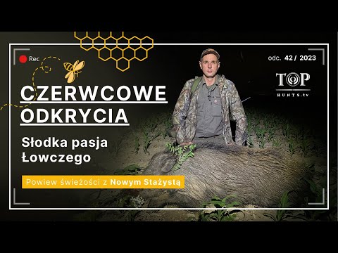 Polowanie na dziki, polowanie na rogacze, miodobranie i wiele innych