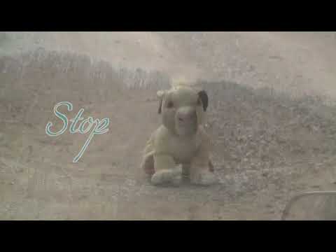 Cascada de pe valea Inzelului /  Az Inzel volgyi vizeses / The woterfal in the Inzel valy.