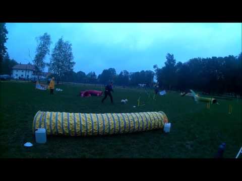 Treningowe Zawody Agility - Klikowa 26.09.2015