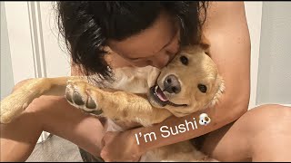 【Sushi】さつまいも、水遊び、ぬいぐるみとマッサージ