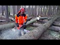 Husqvarna 572XP Chain Saw TOP FELLING THE BEST CHAINSAW