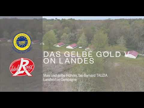 VOM MAIS ZUM HUHN, DAS GELBE GOLD VON LANDES