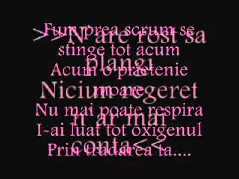 Adda Feat Sakdat Prietenie fumata Lyrics