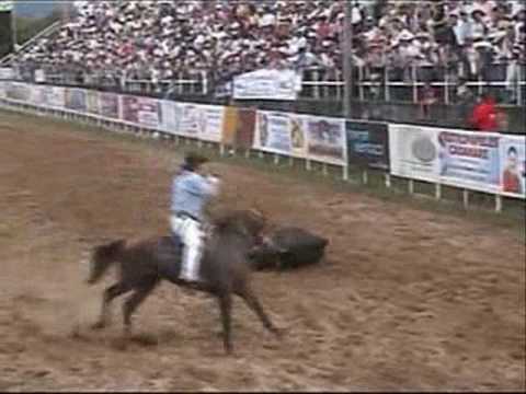 Homenaje a la Yegua F16