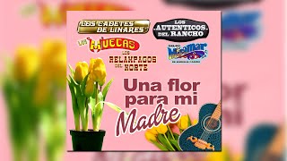 Las Mañanitas - Los Cadetes De Linares