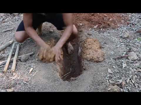 365 Days How I Survival, Cooking And Building In The Rain Forest   Full Video      3